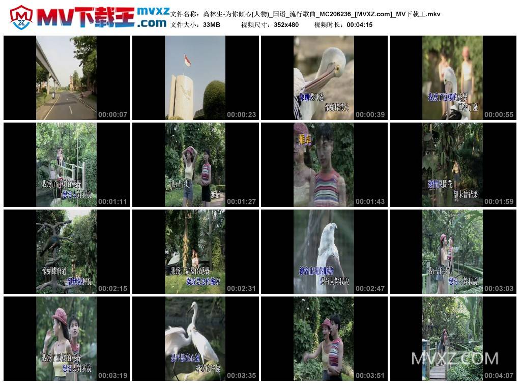 高林生-为你倾心(人物)_国语_流行歌曲_MC206236